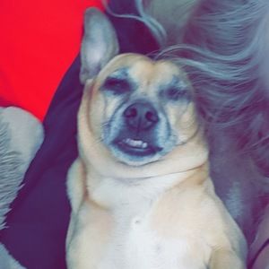 Meet your Posher, Raquel